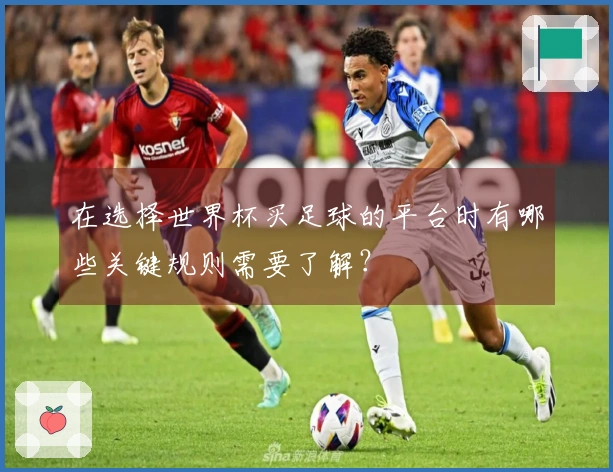 在选择世界杯买足球的平台时有哪些关键规则需要了解？
