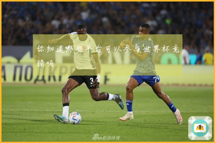 你知道哪些平台可以参与世界杯竞猜吗