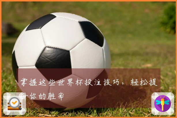掌握这些世界杯投注技巧，轻松提升你的胜率