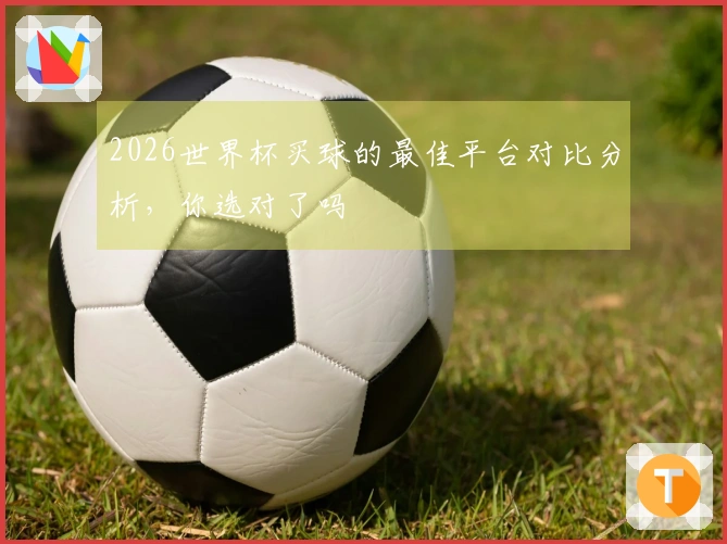 2026世界杯买球的最佳平台对比分析，你选对了吗