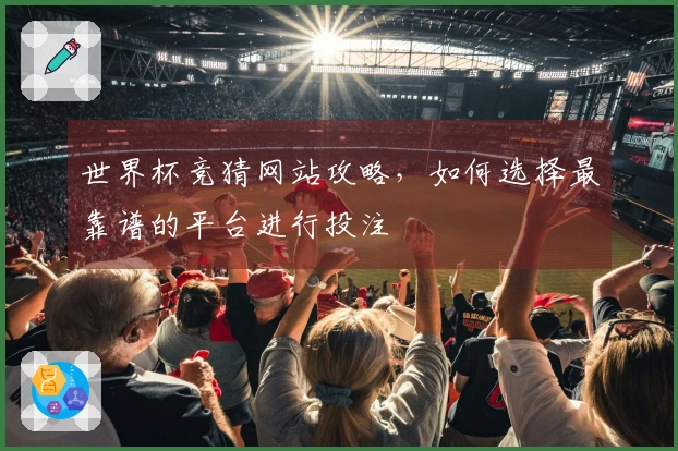 世界杯竞猜网站攻略，如何选择最靠谱的平台进行投注