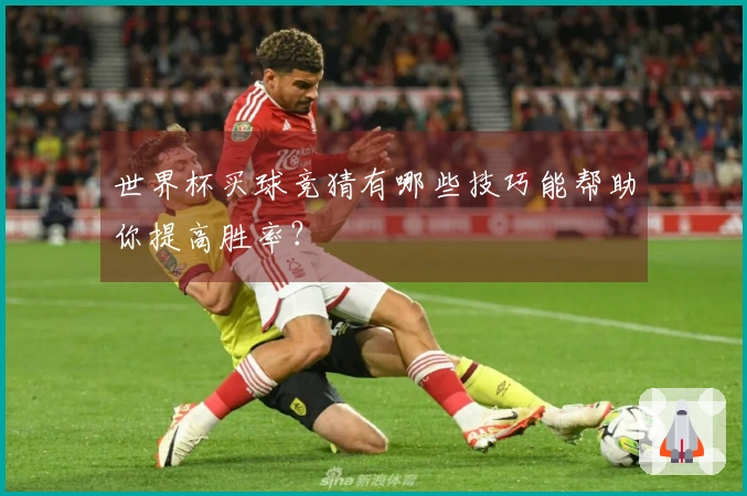 世界杯买球竞猜有哪些技巧能帮助你提高胜率？