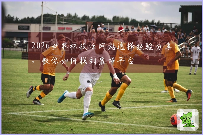 2026世界杯投注网站选择经验分享,教你如何找到靠谱平台
