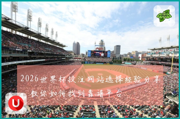 2026世界杯投注网站选择经验分享，教你如何找到靠谱平台