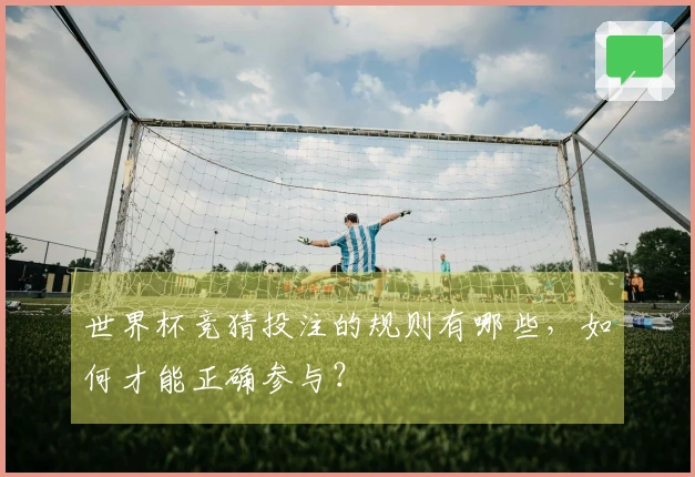 世界杯竞猜投注的规则有哪些,如何才能正确参与?