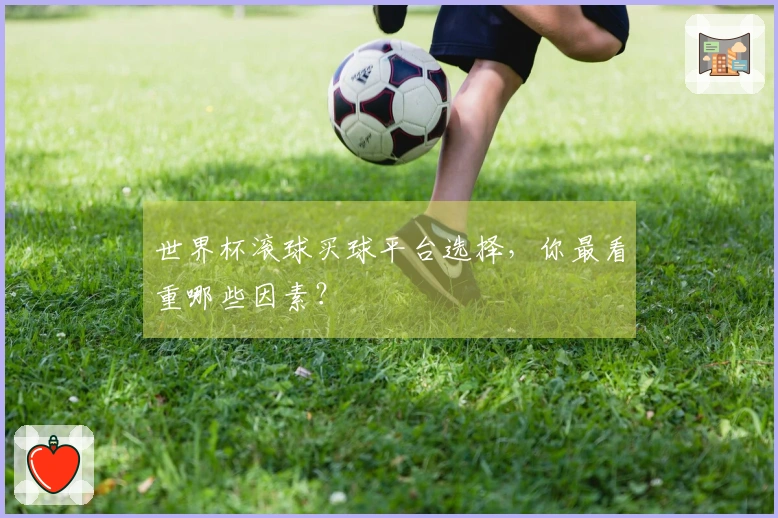 世界杯滚球买球平台选择，你最看重哪些因素？