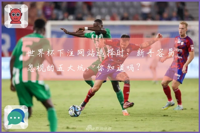 世界杯下注网站选择时，新手容易忽视的五大坑，你知道吗？