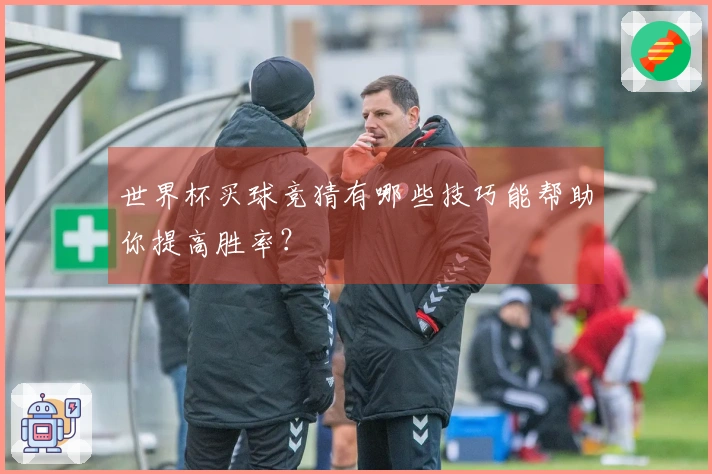 世界杯买球竞猜有哪些技巧能帮助你提高胜率?