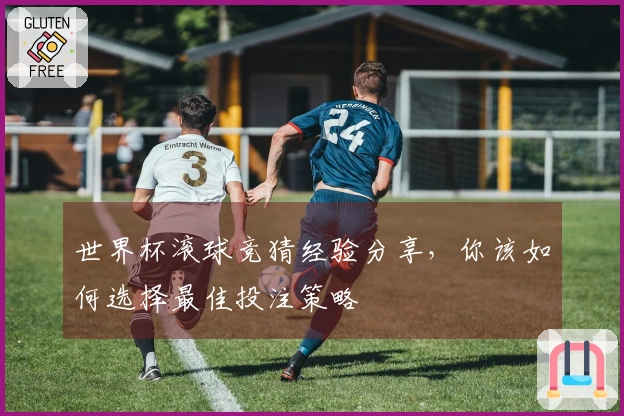 世界杯滚球竞猜经验分享，你该如何选择最佳投注策略
