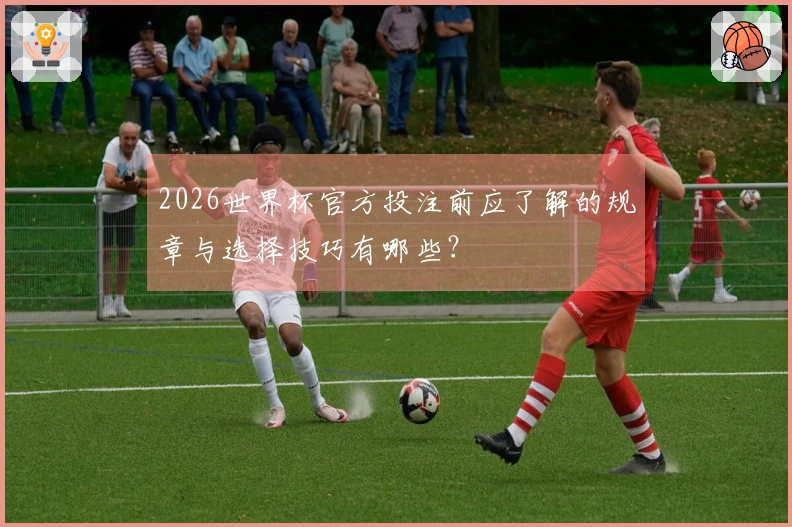 2026世界杯官方投注前应了解的规章与选择技巧有哪些？