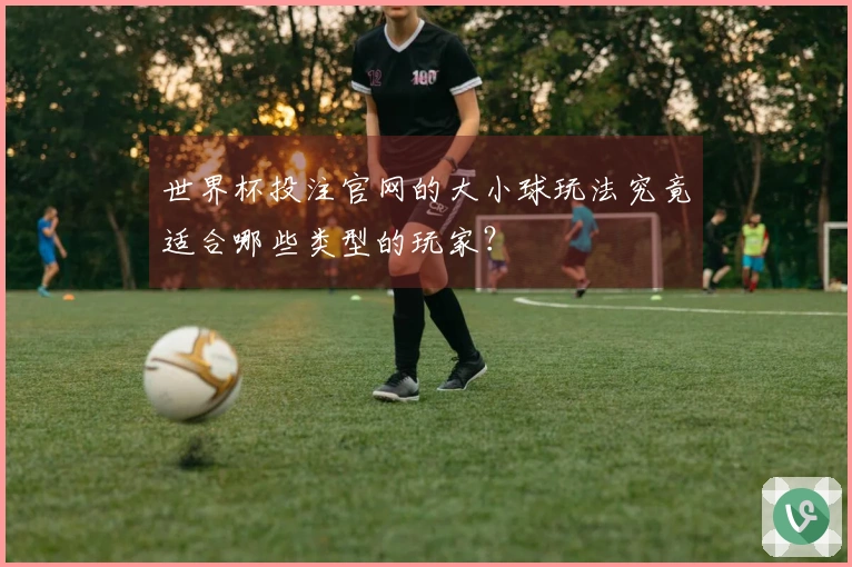 世界杯投注官网的大小球玩法究竟适合哪些类型的玩家？