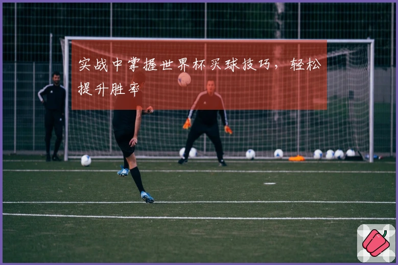 实战中掌握世界杯买球技巧，轻松提升胜率