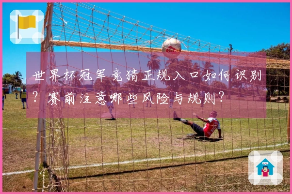 世界杯冠军竞猜正规入口如何识别？赛前注意哪些风险与规则？