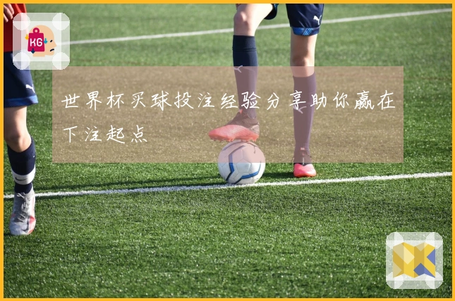 世界杯买球投注经验分享助你赢在下注起点