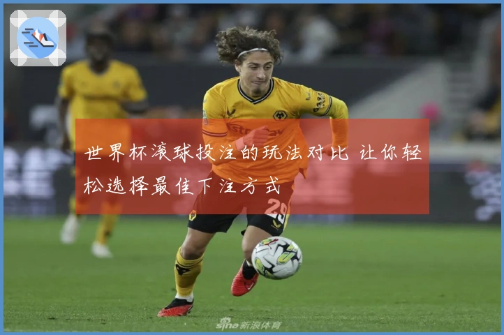 世界杯滚球投注的玩法对比 让你轻松选择最佳下注方式