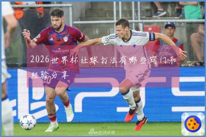 2026世界杯让球打法有哪些窍门和经验分享