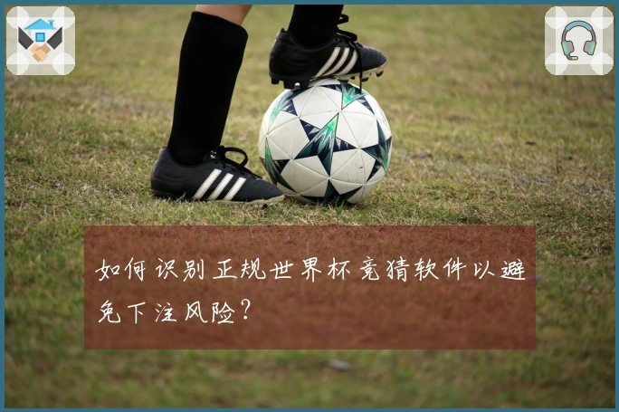 如何识别正规世界杯竞猜软件以避免下注风险？
