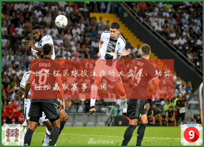 世界杯买球投注技巧大盘点，助你轻松赢取赛事利润