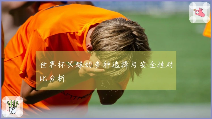 世界杯买球的多种选择与安全性对比分析