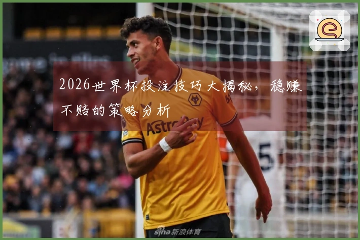 2026世界杯投注技巧大揭秘，稳赚不赔的策略分析