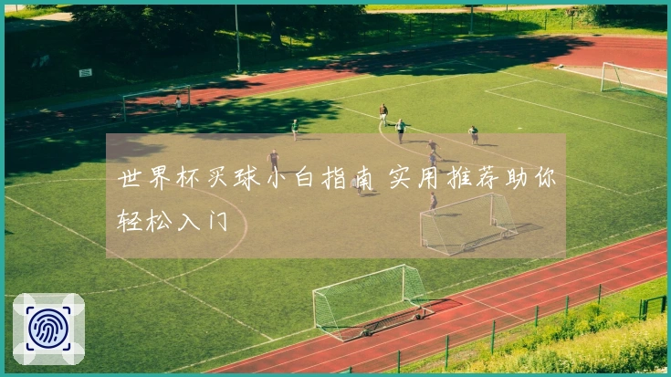 世界杯买球小白指南 实用推荐助你轻松入门