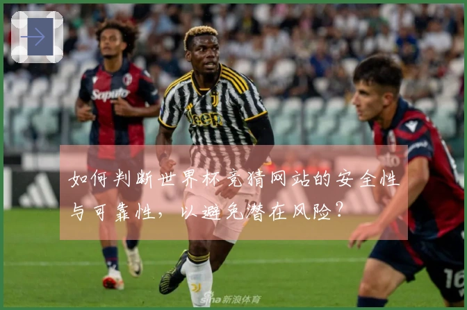 如何判断世界杯竞猜网站的安全性与可靠性，以避免潜在风险？