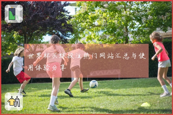 世界杯买球投注热门网站汇总与使用体验分享