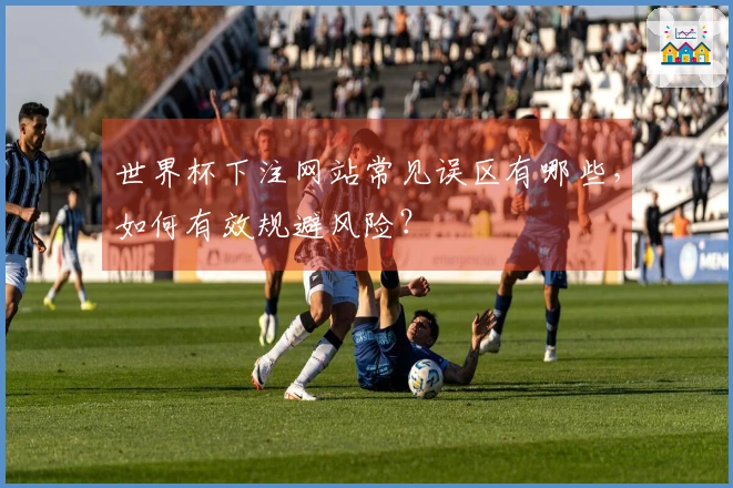 世界杯下注网站常见误区有哪些，如何有效规避风险？