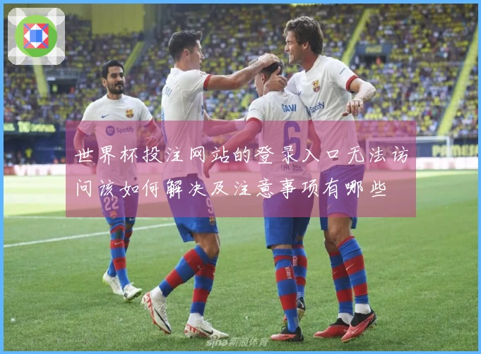 世界杯投注网站的登录入口无法访问该如何解决及注意事项有哪些