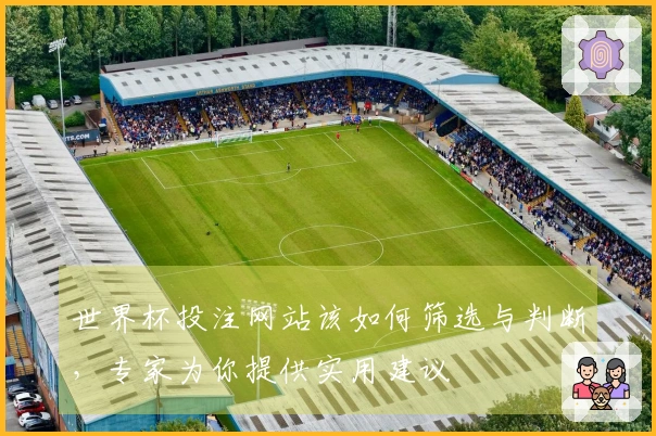 世界杯投注网站该如何筛选与判断，专家为你提供实用建议
