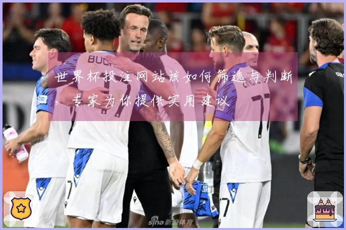世界杯投注网站该如何筛选与判断,专家为你提供实用建议