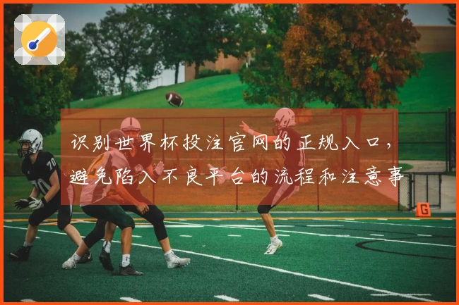 识别世界杯投注官网的正规入口，避免陷入不良平台的流程和注意事项