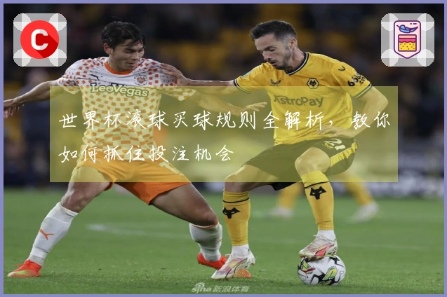 世界杯滚球买球规则全解析，教你如何抓住投注机会