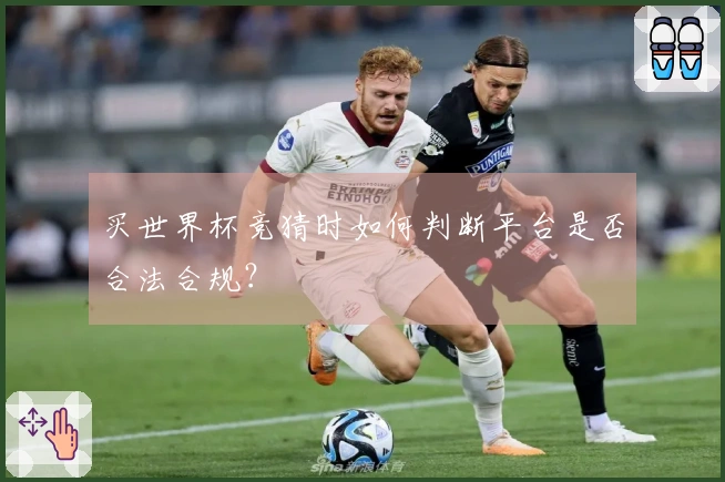 买世界杯竞猜时如何判断平台是否合法合规？