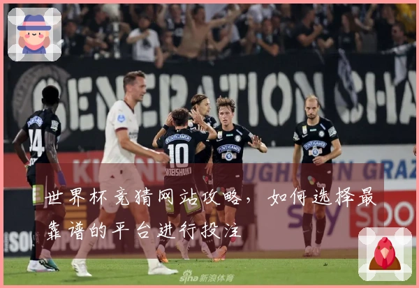 世界杯竞猜网站攻略，如何选择最靠谱的平台进行投注