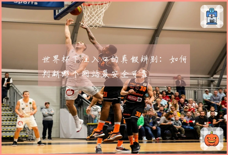 世界杯下注入口的真假辨别：如何判断哪个网站最安全可靠