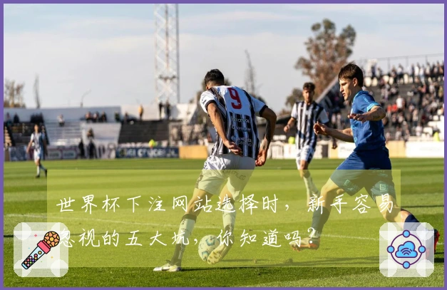世界杯下注网站选择时，新手容易忽视的五大坑，你知道吗？
